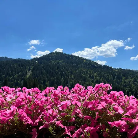 Apartamento Gaestehaus Nussbaumer